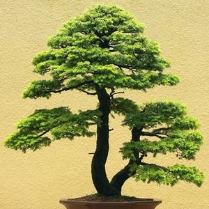 Meet your Posher, Nate